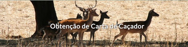 IGAMAOT audita sistema de regulação da atividade cinegética Image