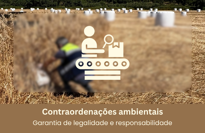 Contraordenações Ambientais: Garantia de Legalidade e Responsabilidade Image