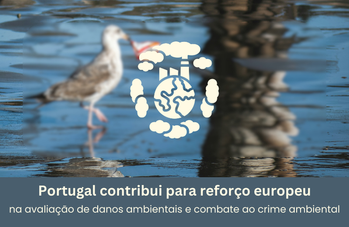 Portugal contribui para reforço europeu na avaliação de danos ambientais e combate ao crime ambiental Image