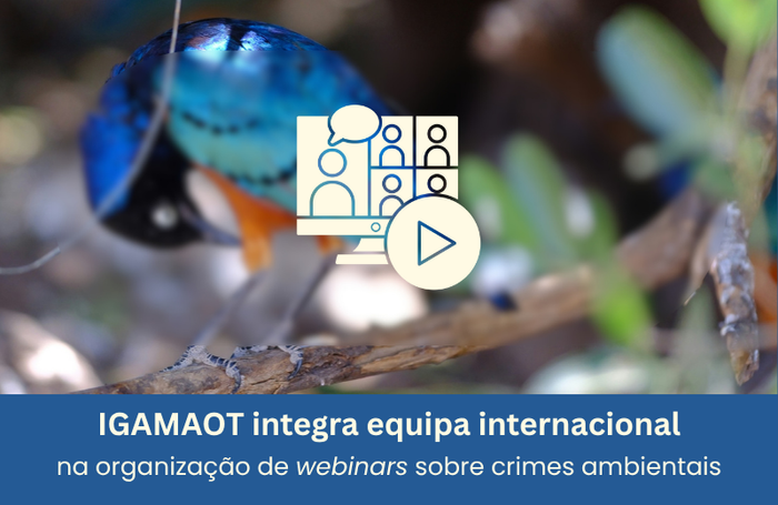 IGAMAOT integra equipa internacional na organização de webinars sobre crimes ambientais Image