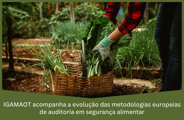 A IGAMAOT acompanha os trabalhos do Grupo de Peritos do National Audit Systems (NAS), coordenado pela Comissão Europeia e composto por especialistas dos Estados-Membros, países associados e da EFSA.
