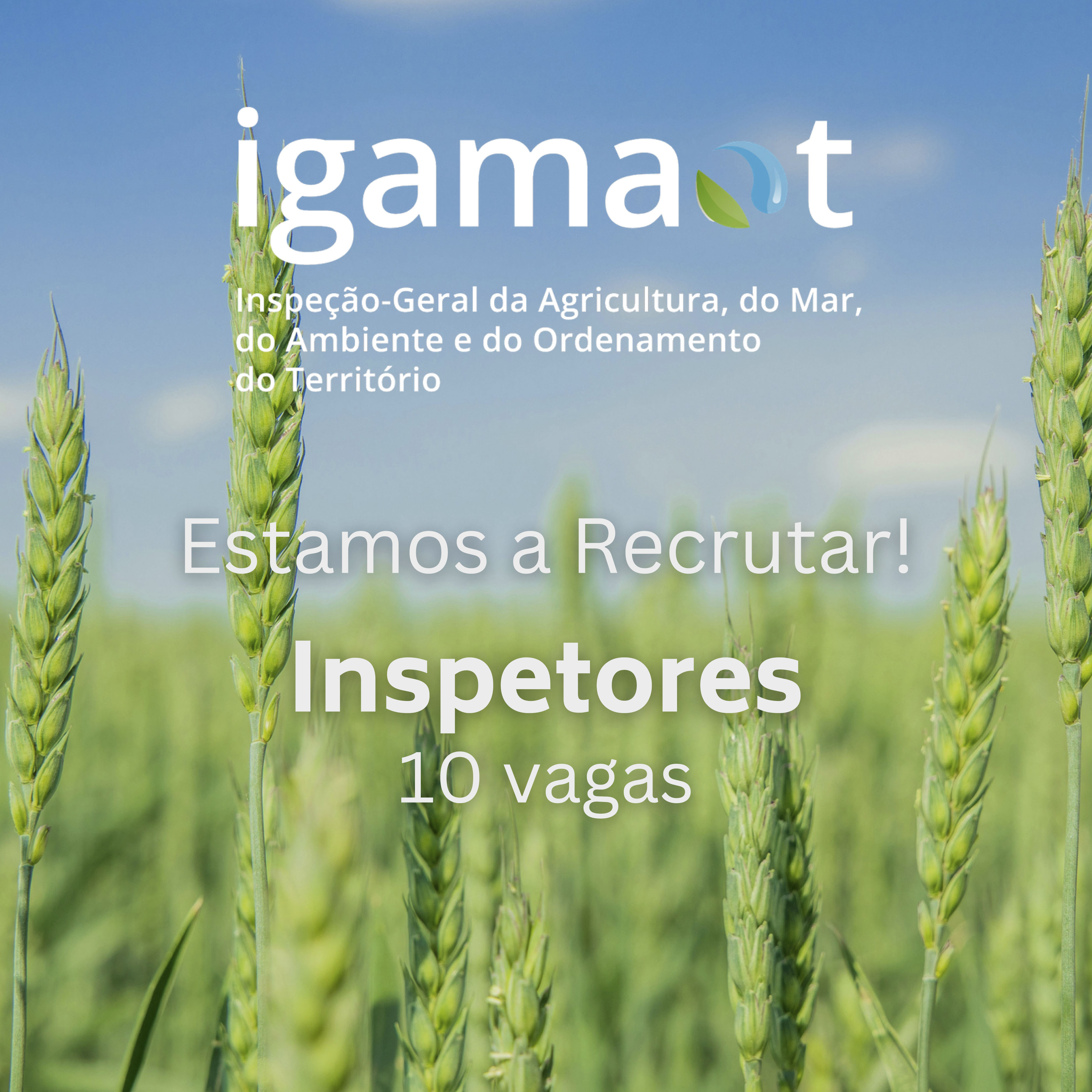 Procedimento concursal para o recrutamento de 10 inspetores/as