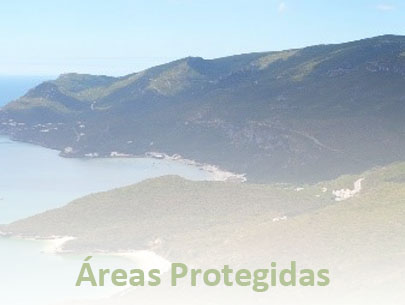 Áreas Protegidas