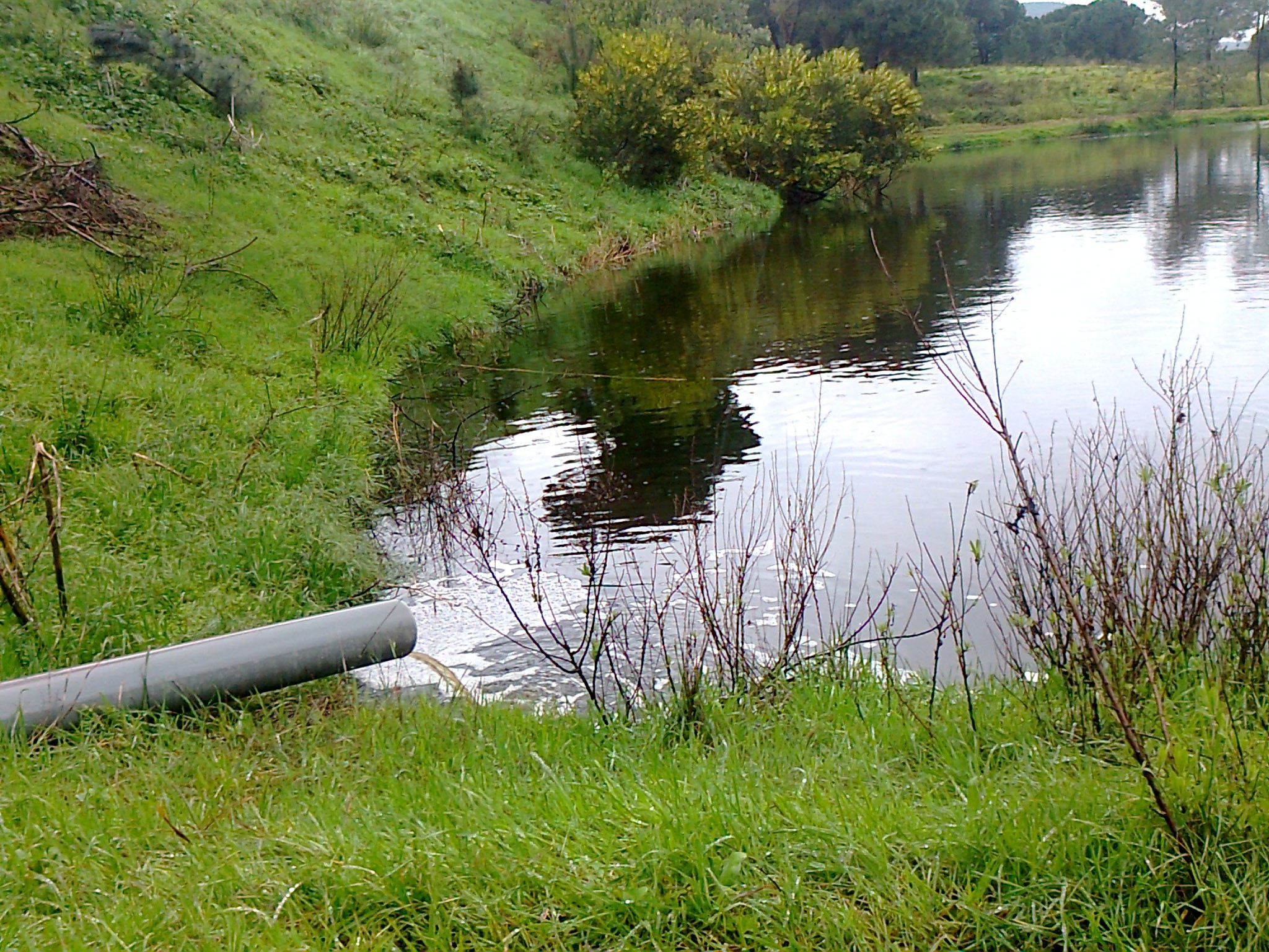 20 anos de Inspeção Ambiental em Portugal