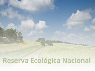 Rede Ecológica Nacional