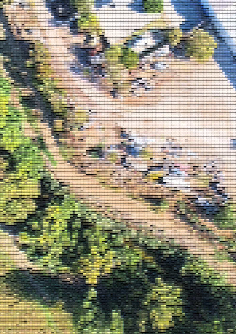 Utilização de imagens da Observação da Terra